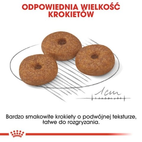 Royal Canin Mini Ageing 12+ karma sucha dla psów dojrzałych po 12 roku życia, ras małych 1,5kg Royal Canin Mini Ageing 12+ karma sucha dla psów dojrzałych po 12 roku życia, ras małych 1,5kg
