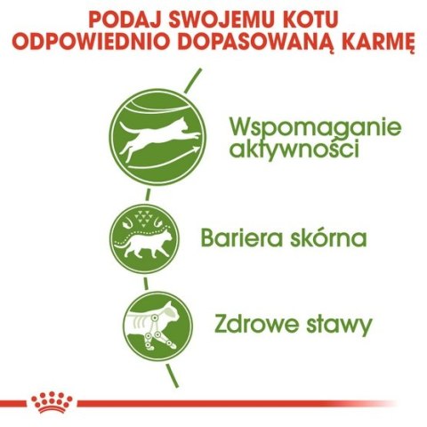 Royal Canin Outdoor karma sucha dla kotów dorosłych, wychodzących na zewnątrz 400g Royal Canin Outdoor karma sucha dla kotów dorosłych, wychodzących na zewnątrz 400g