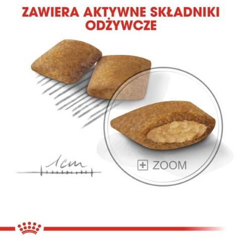Royal Canin Mini Exigent karma sucha dla psów dorosłych, ras małych, wybrednych 3kg Royal Canin Mini Exigent karma sucha dla psów dorosłych, ras małych, wybrednych 3kg