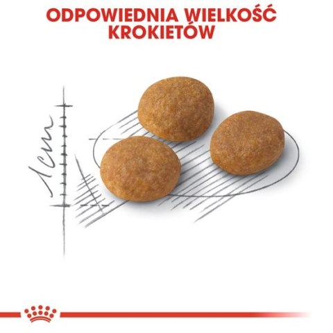 Royal Canin Exigent Aromatic Attraction karma sucha dla kotów dorosłych, wybrednych, kierujących się zapachem 10kg Royal Canin Exigent Aromatic Attraction karma sucha dla kotów dorosłych, wybrednych, kierujących się zapachem 10kg