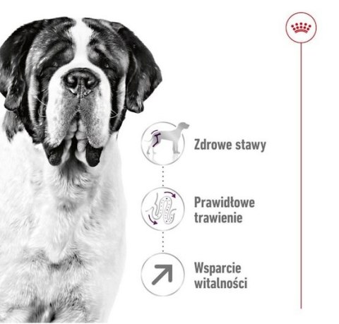 Royal Canin Giant Adult karma sucha dla psów dorosłych, od 18/24 miesiąca życia, ras olbrzymich PROMOCJA 18kg (15+3kg)