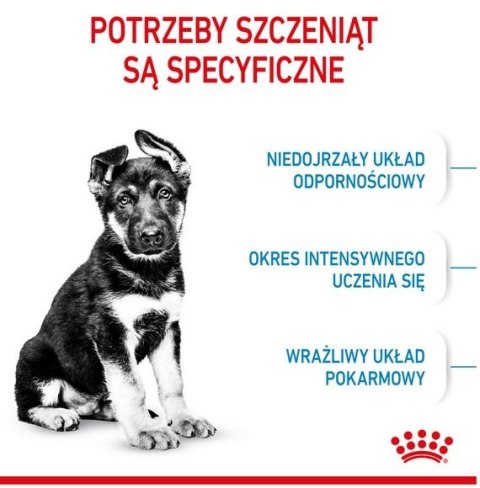 Royal Canin Maxi Puppy karma sucha dla szczeniąt, od 2 do 15 miesiąca życia, ras dużych 15kg Royal Canin Maxi Puppy karma sucha dla szczeniąt, od 2 do 15 miesiąca życia, ras dużych 15kg