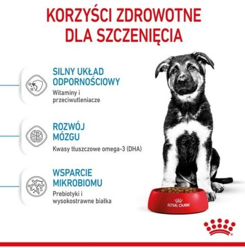 Royal Canin Maxi Puppy karma sucha dla szczeniąt, od 2 do 15 miesiąca życia, ras dużych 4kg Royal Canin Maxi Puppy karma sucha dla szczeniąt, od 2 do 15 miesiąca życia, ras dużych 4kg