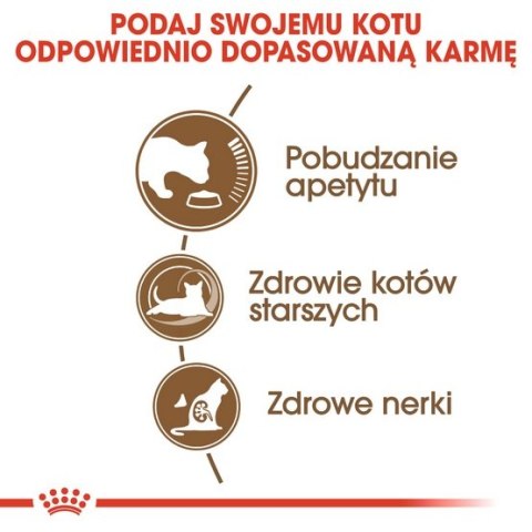 Royal Canin Ageing +12 karma sucha dla kotów dojrzałych 2kg Royal Canin Ageing +12 karma sucha dla kotów dojrzałych 2kg