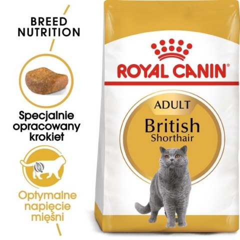 Royal Canin British Shorthair Adult karma sucha dla kotów dorosłych rasy brytyjski krótkowłosy 400g Royal Canin British Shorthair Adult karma sucha dla kotów dorosłych rasy brytyjski krótkowłosy 400g