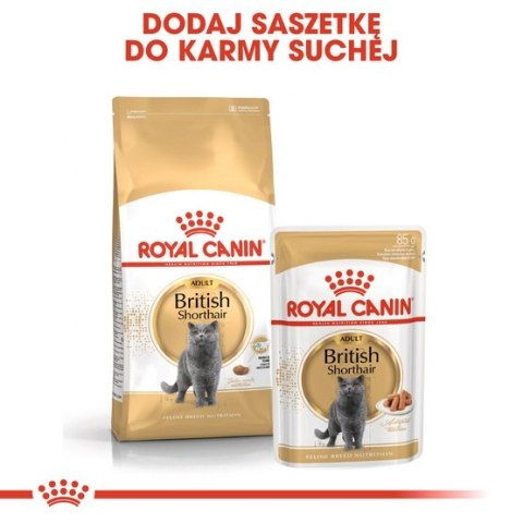 Royal Canin British Shorthair Adult karma sucha dla kotów dorosłych rasy brytyjski krótkowłosy 400g Royal Canin British Shorthair Adult karma sucha dla kotów dorosłych rasy brytyjski krótkowłosy 400g
