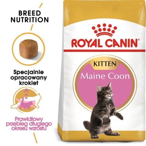Royal Canin Maine Coon Kitten karma sucha dla kociąt, do 15 miesiąca, rasy maine coon 4kg Royal Canin Maine Coon Kitten karma sucha dla kociąt, do 15 miesiąca, rasy maine coon 4kg
