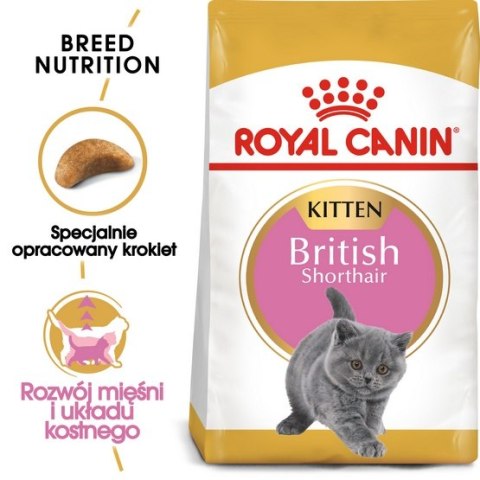 Royal Canin British Shorthair Kitten karma sucha dla kociąt, do 12 miesiąca, rasy brytyjski krótkowłosy 400g Royal Canin British Shorthair Kitten karma sucha dla kociąt, do 12 miesiąca, rasy brytyjski krótkowłosy 400g