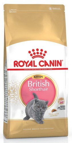 Royal Canin British Shorthair Kitten karma sucha dla kociąt, do 12 miesiąca, rasy brytyjski krótkowłosy 400g Royal Canin British Shorthair Kitten karma sucha dla kociąt, do 12 miesiąca, rasy brytyjski krótkowłosy 400g