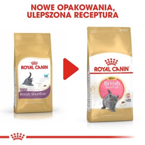 Royal Canin British Shorthair Kitten karma sucha dla kociąt, do 12 miesiąca, rasy brytyjski krótkowłosy 400g Royal Canin British Shorthair Kitten karma sucha dla kociąt, do 12 miesiąca, rasy brytyjski krótkowłosy 400g