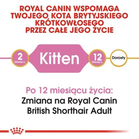 Royal Canin British Shorthair Kitten karma sucha dla kociąt, do 12 miesiąca, rasy brytyjski krótkowłosy 400g Royal Canin British Shorthair Kitten karma sucha dla kociąt, do 12 miesiąca, rasy brytyjski krótkowłosy 400g