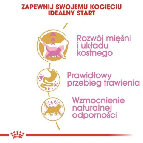 Royal Canin British Shorthair Kitten karma sucha dla kociąt, do 12 miesiąca, rasy brytyjski krótkowłosy 400g Royal Canin British Shorthair Kitten karma sucha dla kociąt, do 12 miesiąca, rasy brytyjski krótkowłosy 400g