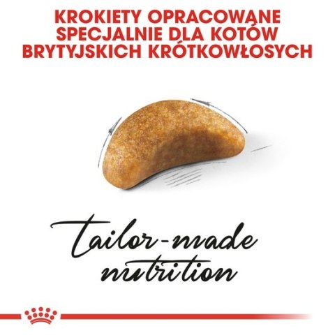 Royal Canin British Shorthair Kitten karma sucha dla kociąt, do 12 miesiąca, rasy brytyjski krótkowłosy 400g Royal Canin British Shorthair Kitten karma sucha dla kociąt, do 12 miesiąca, rasy brytyjski krótkowłosy 400g