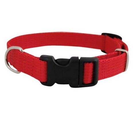 CHABA Obroża taśma regulowana 16mm x 40cm czerwona CHABA Obroża taśma regulowana 16mm x 40cm czerwona