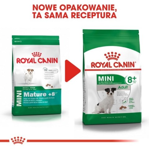 Royal Canin Mini Adult 8+ karma sucha dla psów starszych od 8 do 12 roku życia, ras małych 800g Royal Canin Mini Adult 8+ karma sucha dla psów starszych od 8 do 12 roku życia, ras małych 800g