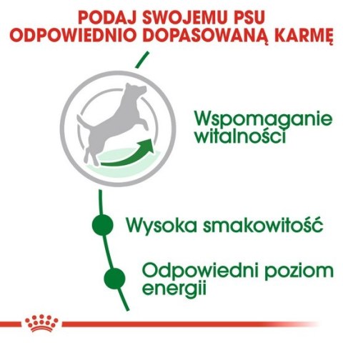 Royal Canin Mini Adult 8+ karma sucha dla psów starszych od 8 do 12 roku życia, ras małych 800g Royal Canin Mini Adult 8+ karma sucha dla psów starszych od 8 do 12 roku życia, ras małych 800g