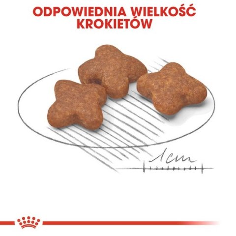 Royal Canin Mini Adult 8+ karma sucha dla psów starszych od 8 do 12 roku życia, ras małych 800g Royal Canin Mini Adult 8+ karma sucha dla psów starszych od 8 do 12 roku życia, ras małych 800g