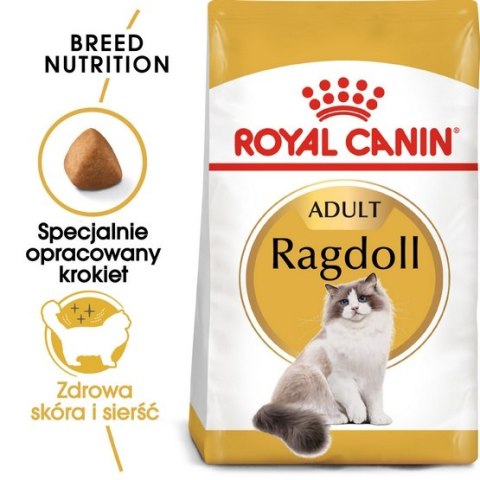 Royal Canin Ragdoll Adult karma sucha dla kotów dorosłych rasy ragdoll 400g Royal Canin Ragdoll Adult karma sucha dla kotów dorosłych rasy ragdoll 400g
