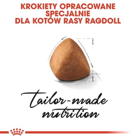 Royal Canin Ragdoll Adult karma sucha dla kotów dorosłych rasy ragdoll 400g Royal Canin Ragdoll Adult karma sucha dla kotów dorosłych rasy ragdoll 400g