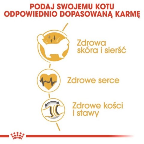 Royal Canin Ragdoll Adult karma sucha dla kotów dorosłych rasy ragdoll 400g Royal Canin Ragdoll Adult karma sucha dla kotów dorosłych rasy ragdoll 400g