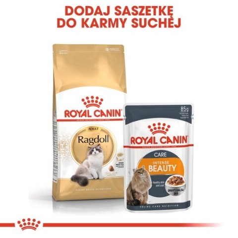 Royal Canin Ragdoll Adult karma sucha dla kotów dorosłych rasy ragdoll 400g Royal Canin Ragdoll Adult karma sucha dla kotów dorosłych rasy ragdoll 400g