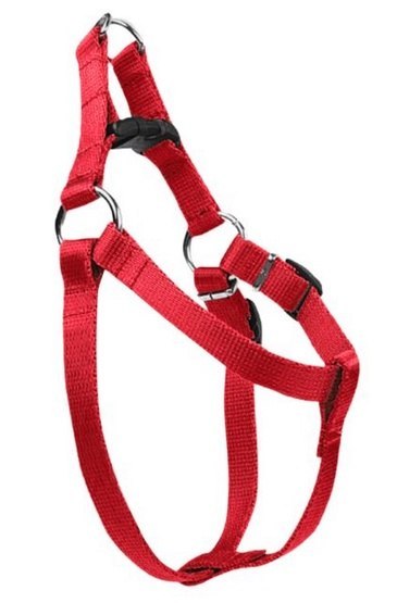 CHABA Szelki taśma regulowane nr 1 - obwód 40cm czerwone CHABA Szelki taśma regulowane nr 1 - obwód 40cm czerwone