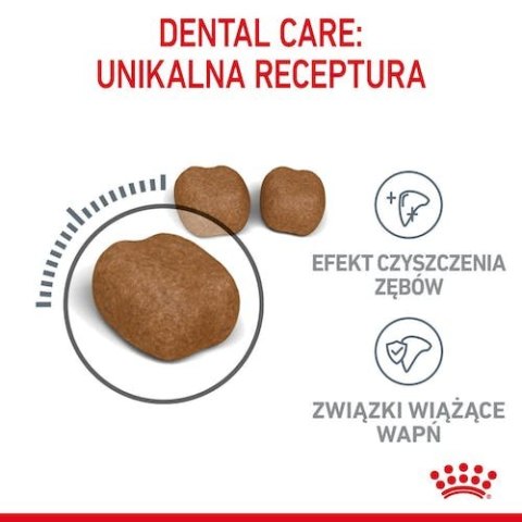 Royal Canin Dental Care karma sucha dla kotów dorosłych, redukująca odkładanie kamienia nazębnego 1,5kg Royal Canin Dental Care karma sucha dla kotów dorosłych, redukująca odkładanie kamienia nazębnego 1,5kg