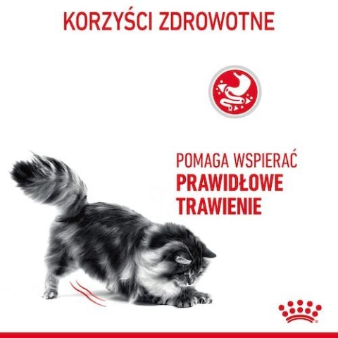 Royal Canin Digestive Care karma sucha dla kotów dorosłych, wspomagająca przebieg trawienia 4kg Royal Canin Digestive Care karma sucha dla kotów dorosłych, wspomagająca przebieg trawienia 4kg