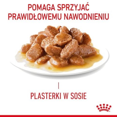 Royal Canin Urinary Care karma mokra dla kotów dorosłych, ochrona dolnych dróg moczowych saszetka 85g Royal Canin Urinary Care karma mokra dla kotów dorosłych, ochrona dolnych dróg moczowych saszetka 85g