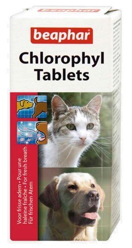 Beaphar Chlorophyl Tablets - preparat na czas cieczki/rui 30tabl. Beaphar Chlorophyl Tablets - preparat na czas cieczki/rui 30tabl.