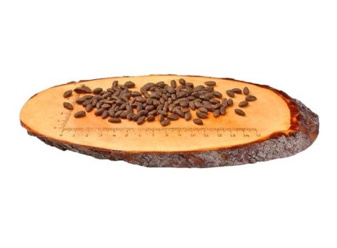 Carnilove Cat Salmon Sensitive & Long Hair - łosoś 2kg Carnilove Cat Salmon Sensitive & Long Hair - łosoś 2kg