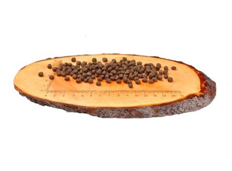 Carnilove Cat Salmon & Turkey for Kittens - łosoś i indyk 6kg Carnilove Cat Salmon & Turkey for Kittens - łosoś i indyk 6kg