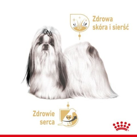 Royal Canin Shih Tzu Adult karma mokra dla psów dorosłych rasy shih tzu saszetka 85g Royal Canin Shih Tzu Adult karma mokra dla psów dorosłych rasy shih tzu saszetka 85g
