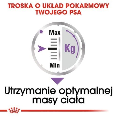 Royal Canin Sterilised karma mokra dla psów dorosłych, wszystkich ras po sterylizacji, pasztet saszetka 85g Royal Canin Sterilised karma mokra dla psów dorosłych, wszystkich ras po sterylizacji, pasztet saszetka 85g