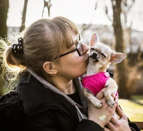 Dingo Szelki bezuciskowe z dwupaskową regulacją S różowe Dingo Szelki bezuciskowe z dwupaskową regulacją S różowe