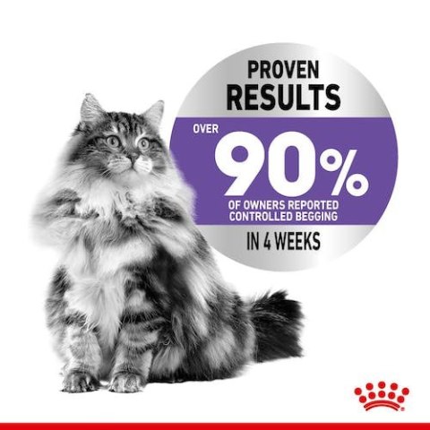 Royal Canin Appetite Control Care karma mokra w galaretce dla kotów dorosłych, domagających się jedzenia saszetka 85g Royal Canin Appetite Control Care karma mokra w galaretce dla kotów dorosłych, domagających się jedzenia saszetka 85g