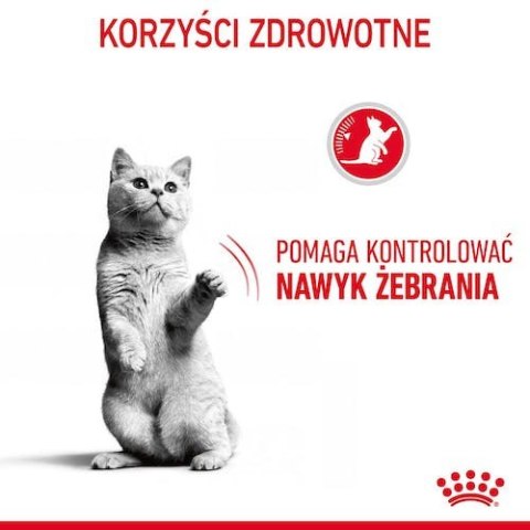 Royal Canin Appetite Control Care karma sucha dla kotów dorosłych, domagających się jedzenia 3,5kg Royal Canin Appetite Control Care karma sucha dla kotów dorosłych, domagających się jedzenia 3,5kg