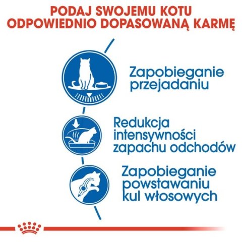 Royal Canin Indoor Apetite Control karma sucha dla kotów dorosłych przebywających w domu, domagających się jedzenia 400g Royal Canin Indoor Apetite Control karma sucha dla kotów dorosłych przebywających w domu, domagających się jedzenia 400g