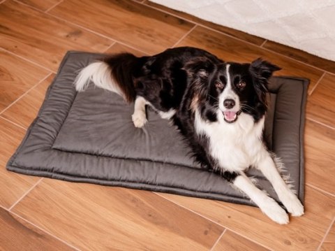 MIMIKO Pets Mata Velvet 100x70cm grafit MIMIKO Pets Mata Velvet 100x70cm grafit