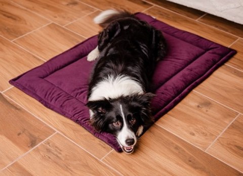 MIMIKO Pets Mata Velvet 100x70cm śliwka MIMIKO Pets Mata Velvet 100x70cm śliwka