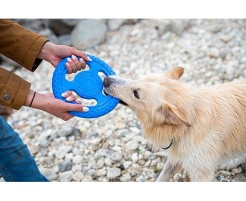 Kiwi Walker Let's Play Frisbee Maxi niebieskie Kiwi Walker Let's Play Frisbee Maxi niebieskie