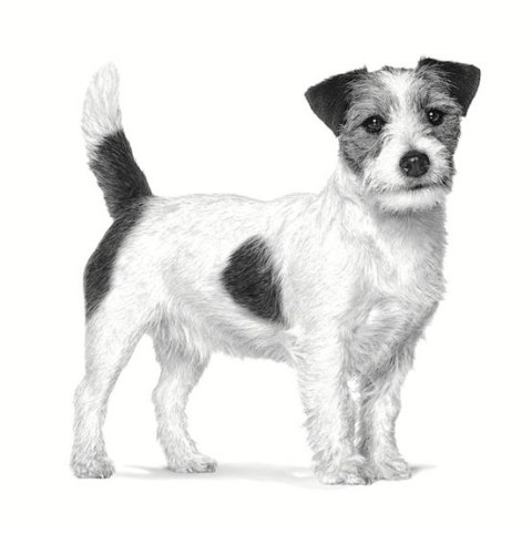 Royal Canin Veterinary Diet Canine Anallergenic Small 3kg Royal Canin Veterinary Diet Canine Anallergenic Small 3kg