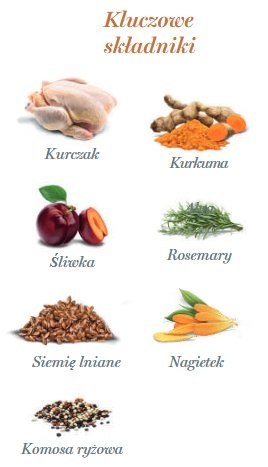 Amanova Adult Exquisite Chicken saszetka 300g Amanova Adult Exquisite Chicken saszetka 300g