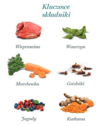 Amanova Adult Iberian Pork saszetka 300g Amanova Adult Iberian Pork saszetka 300g