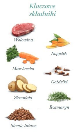 Amanova Adult Irresistible Beef saszetka 300g Amanova Adult Irresistible Beef saszetka 300g