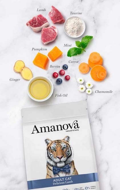 Amanova Kot Adult Delicious Lamb 1,5kg
