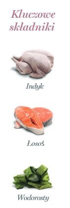 Amanova Kot Tasty Salmon & Turkey saszetka 85g Amanova Kot Tasty Salmon & Turkey saszetka 85g
