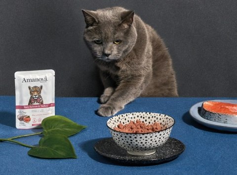 Amanova Kot Tasty Salmon & Turkey saszetka 85g Amanova Kot Tasty Salmon & Turkey saszetka 85g