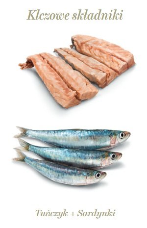 Amanova Kot Tuna & Sardines w galaretce puszka 70g Amanova Kot Tuna & Sardines w galaretce puszka 70g