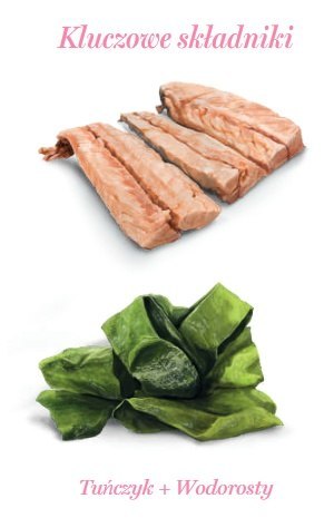 Amanova Kot Tuna & Seaweed w galaretce puszka 70g Amanova Kot Tuna & Seaweed w galaretce puszka 70g
